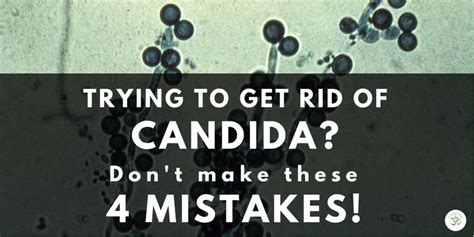 candida overgrowth treatment mistakes